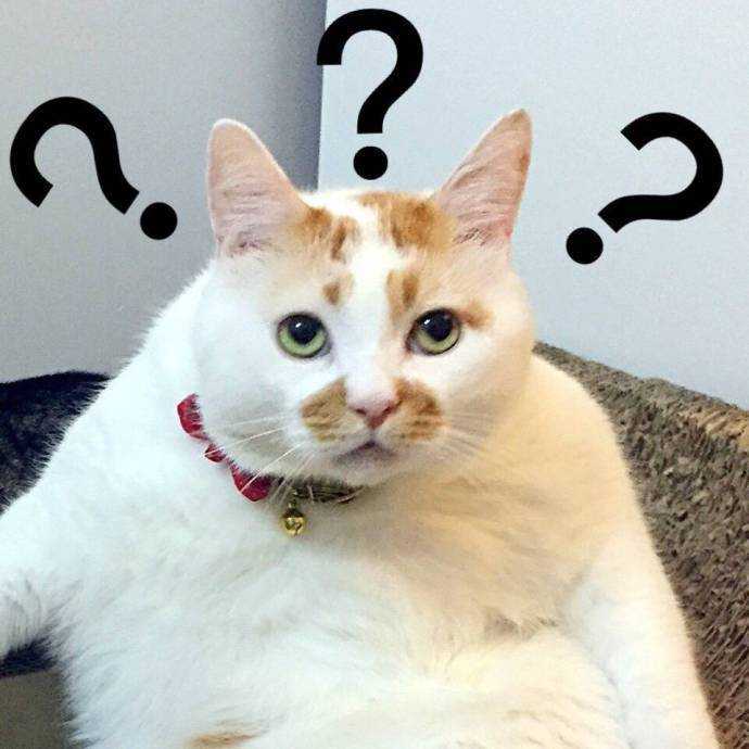 7eea10dagy1fkdfe14tdjj20qo0qotaz.jpg