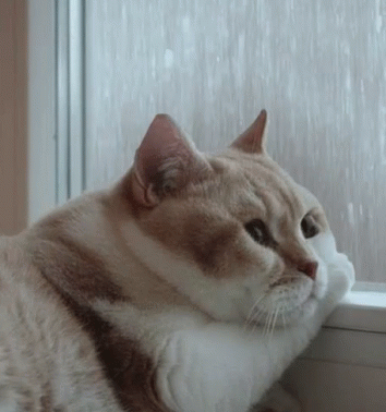 v2-414b63212cd97bb06997b9860b0e3441_b.gif