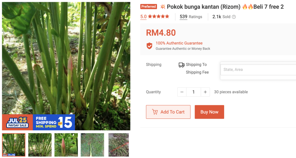 Screenshot 2022-07-25 at 4.21.56 PM.png