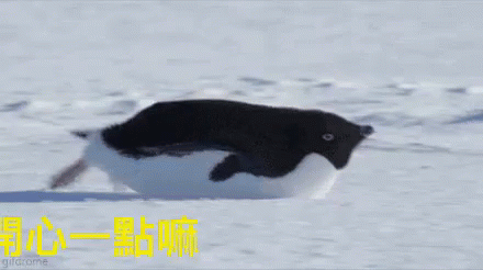 5cd015fbd8434a01abbf98dee9041392.gif