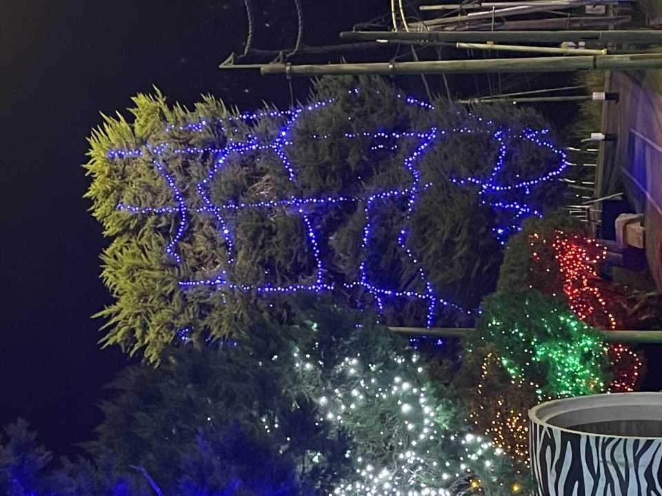 86AB72DA-6CA0-45C8-A6EE-39780F9C4E12.jpeg