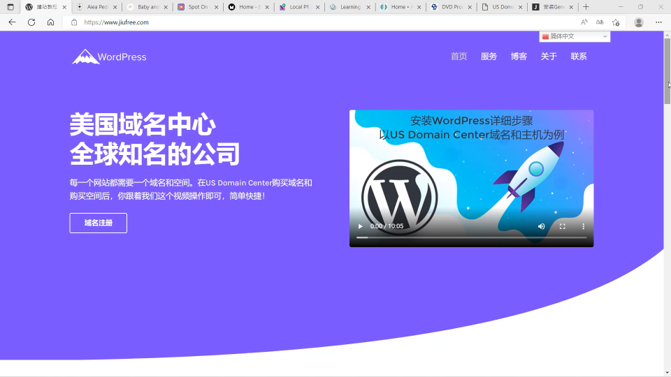 新手自建网站教程, 仅需复制和粘贴就能搭建完整网站 (多语言), WordPress中文建站教程.png