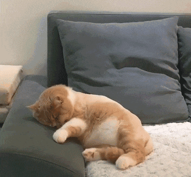 5cd015fbd8434a01abbf98dee9041392.gif