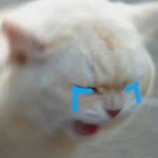 download.jpg