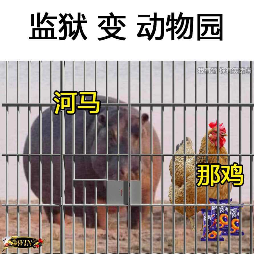 FB_IMG_1662023390369.jpg