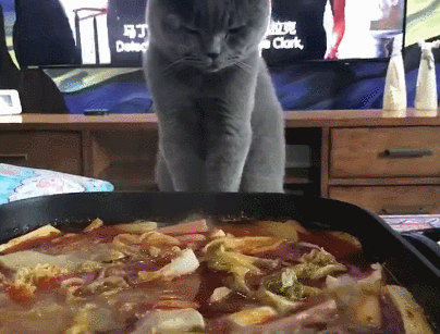 4b2958c9gy1g3phf9vy2ng204q07a1is.gif
