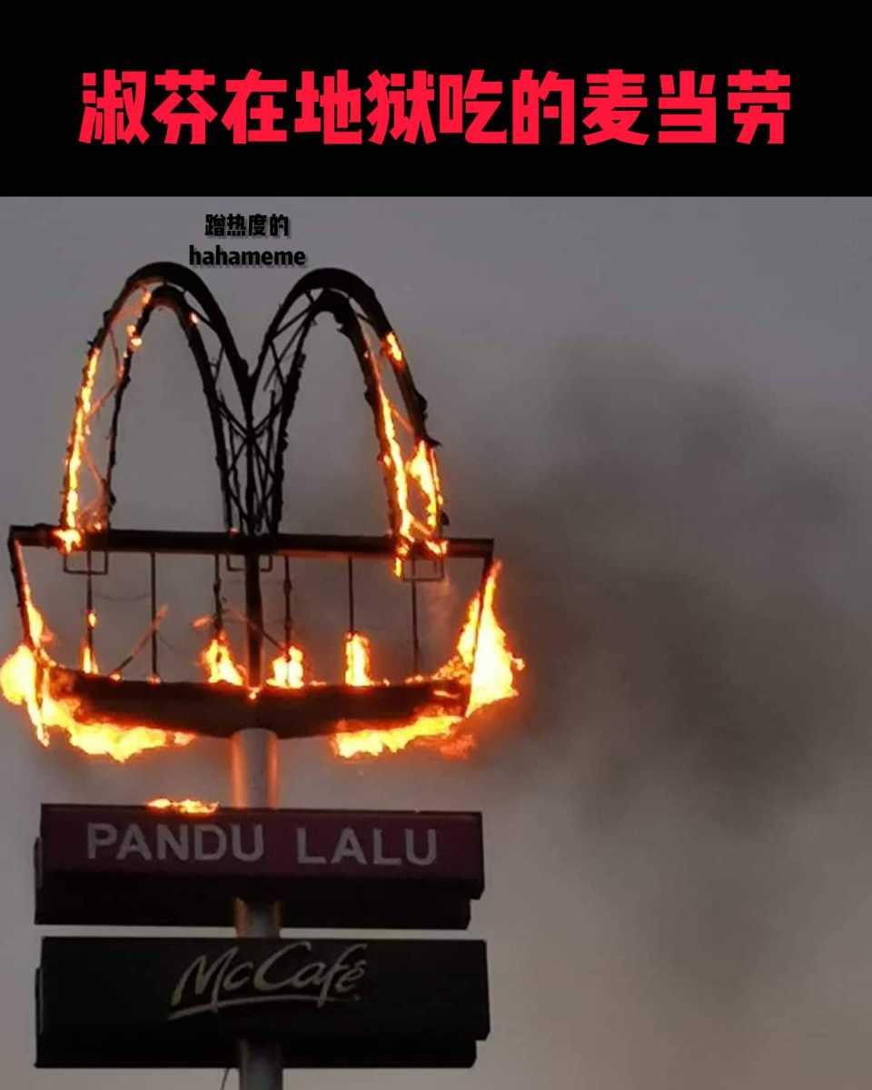 FB_IMG_1664271723169.jpg