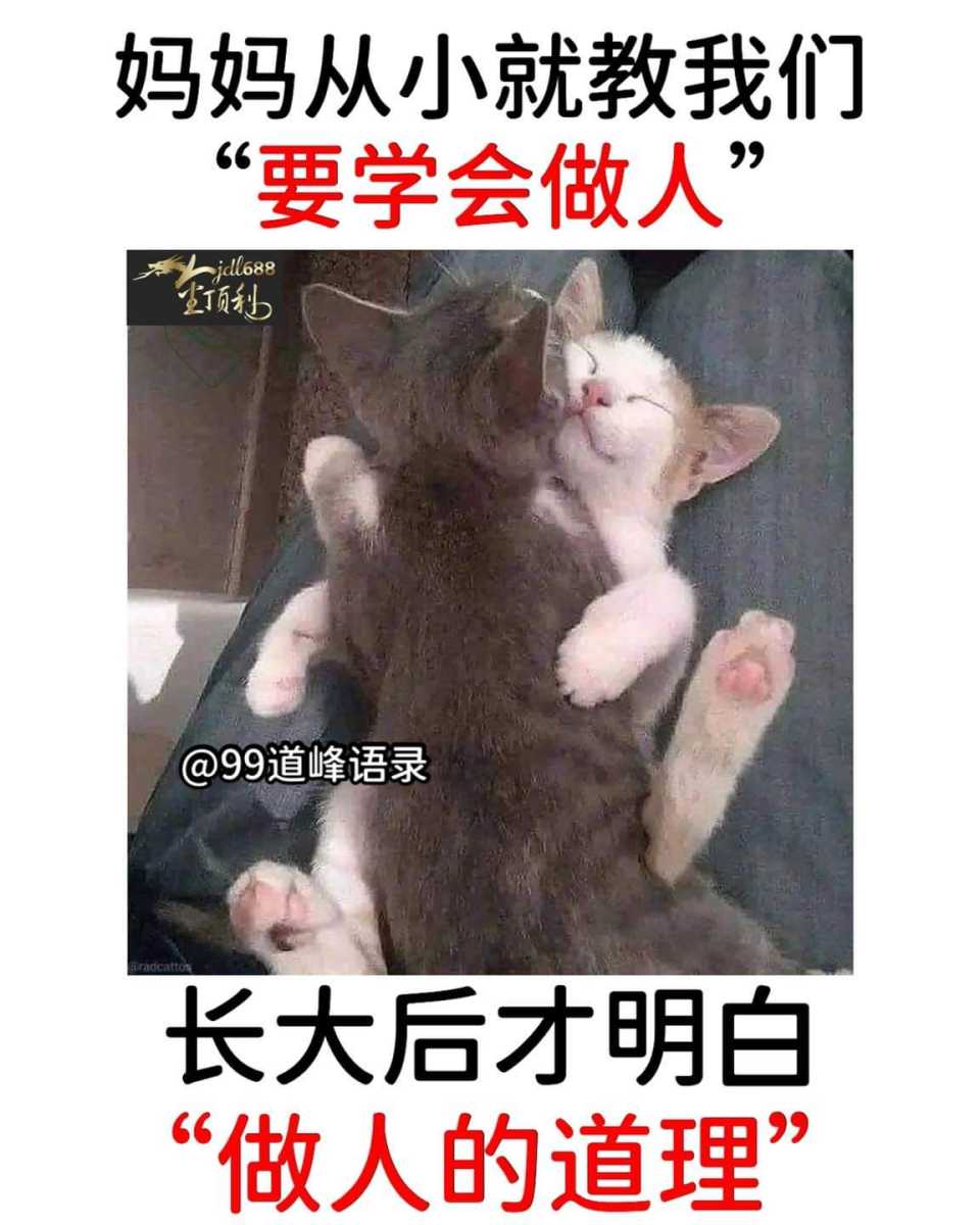 FB_IMG_1663860307682.jpg
