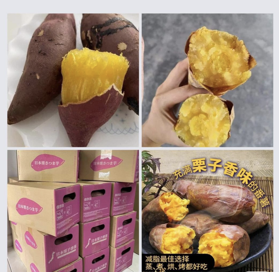 Screenshot 2022-11-09 at 7.07.09 AM.png