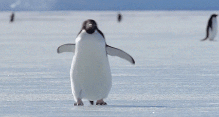 df4873113f1b9690.gif