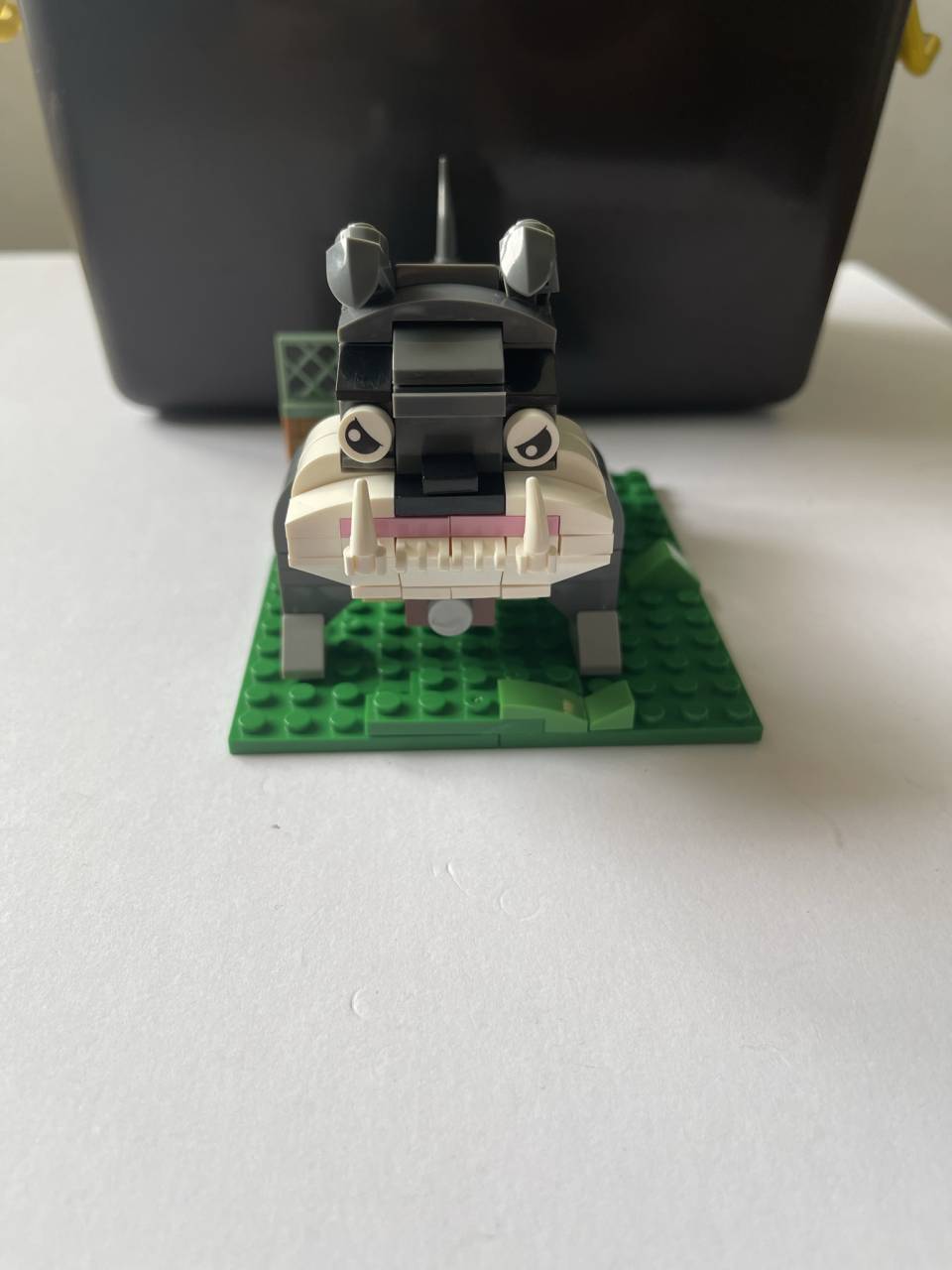 IMG_3447.JPEG