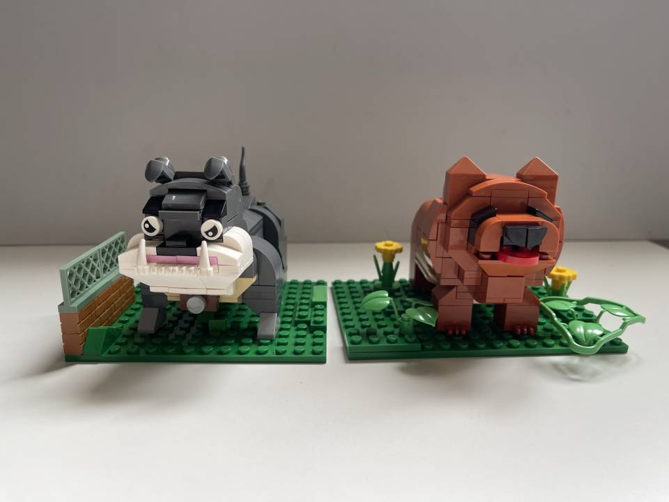 IMG_3461.JPEG