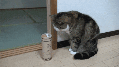 iwz_-hsmkfyn9067498.gif