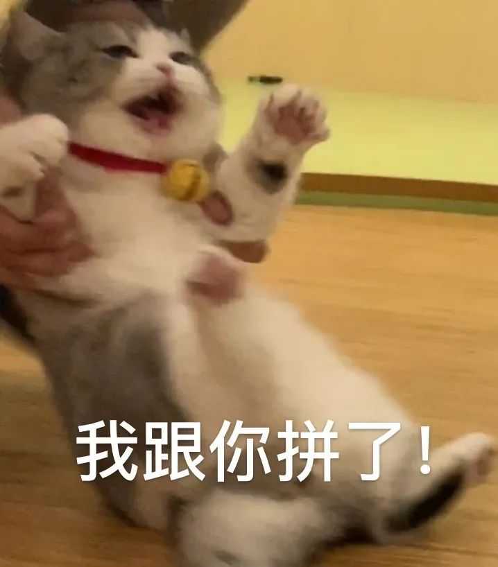 v2-58be58064af8f738e29747f3dac1e174_1440w.jpeg.jpg