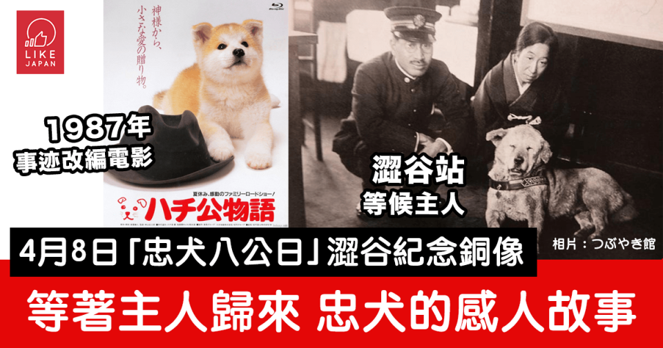4月8日「忠犬八公日」澀谷紀念銅像-等著主人歸來-忠犬的感人故事-1.png