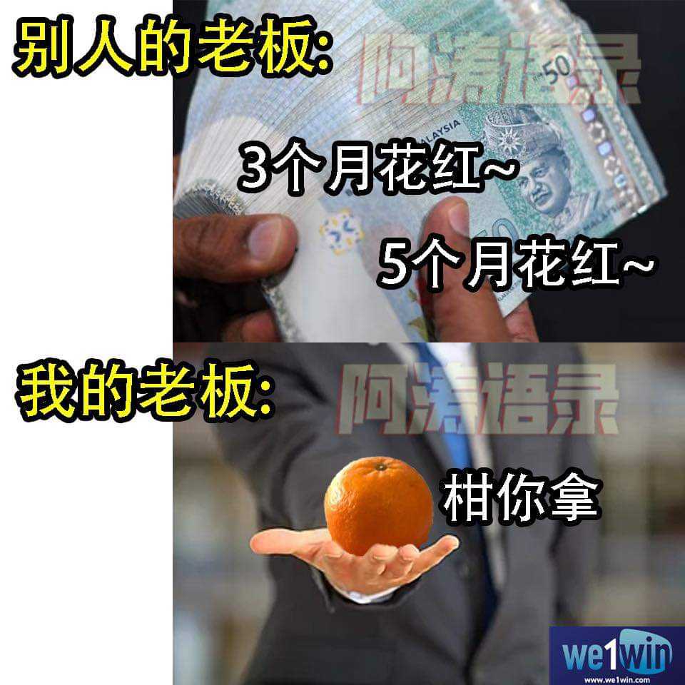 FB_IMG_1673403238036.jpg