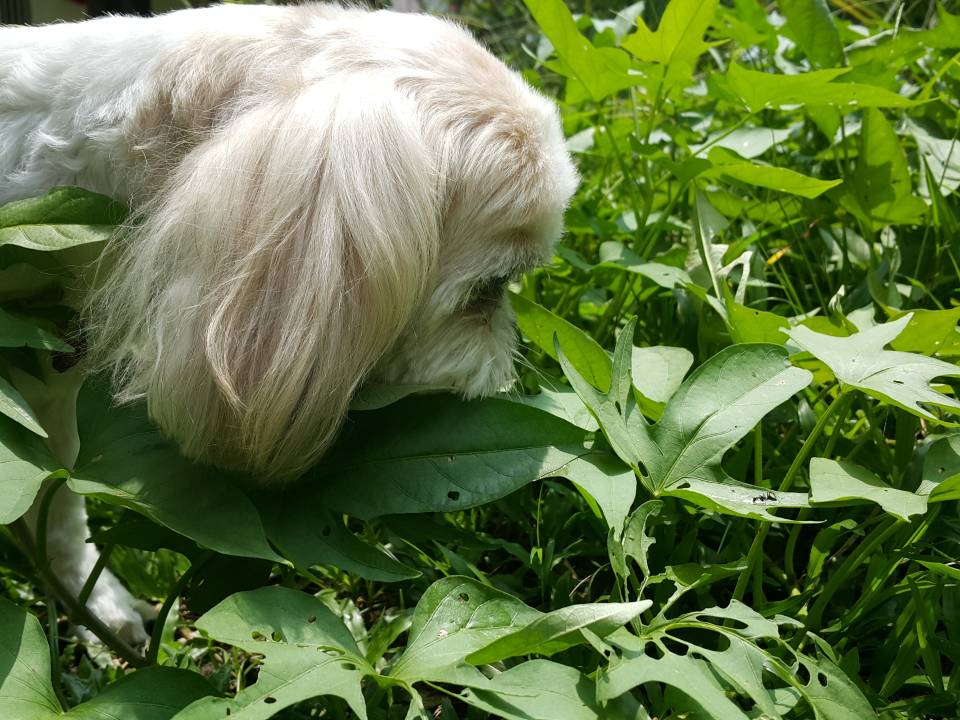 20170729_125914.jpg