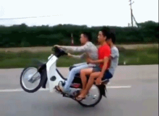 7.gif