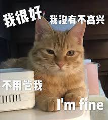 images.jpg