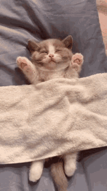 6.gif
