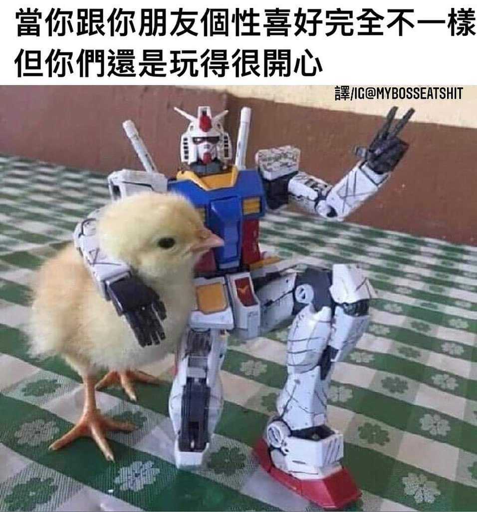FB_IMG_1666772090042.jpg