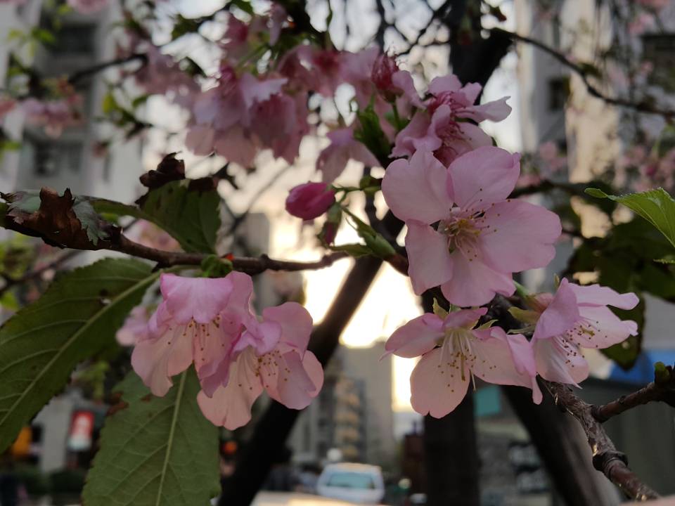 20170311_171356.jpg