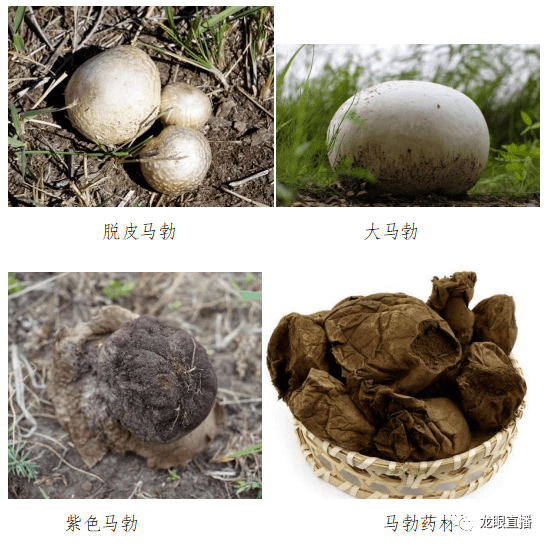 d52cdd49d2614f99be98dac4df963e8b.png