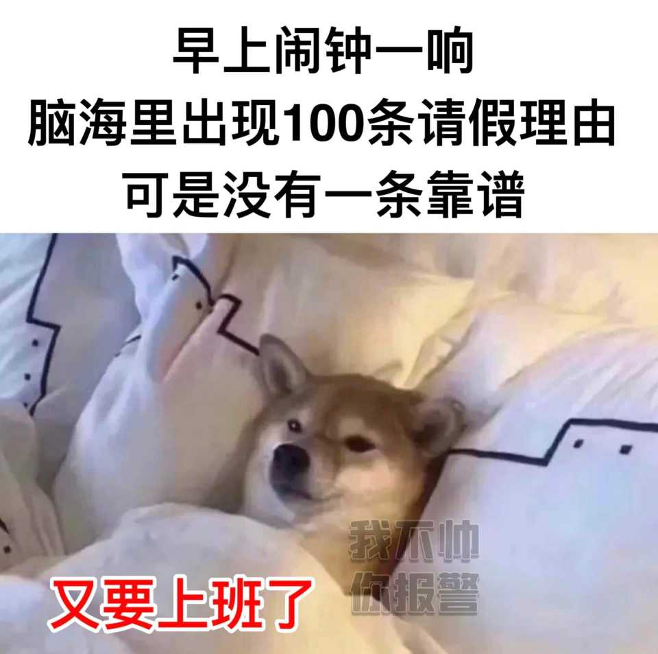 FB_IMG_1686996162511.jpg