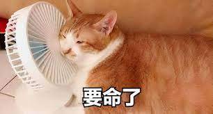 download.jpg