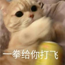 images.jpg