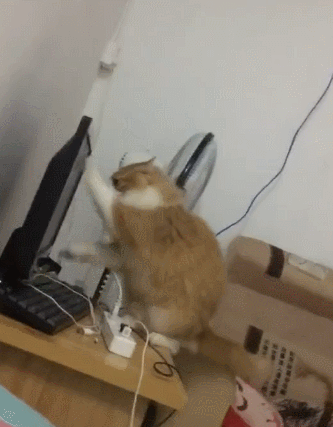 1cb6186540d541dea4f204683d4e7417.gif