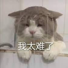 images.jpg