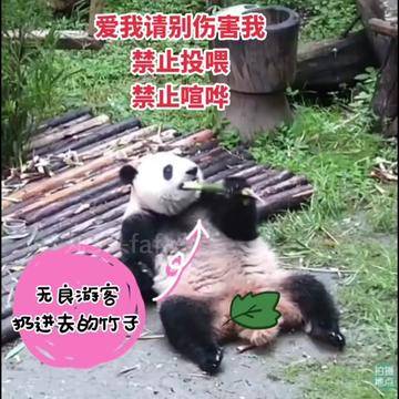 c829fb077d5148a3ae8ff8cc4f255179_1693039677~tplv-dy-360p.jpeg