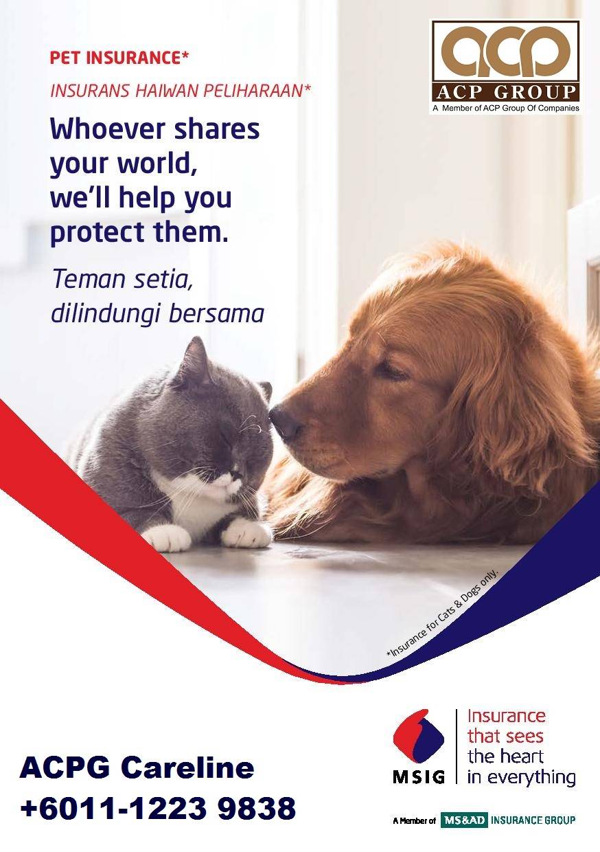 acpg msig pet insurance 171215a-page-001.jpg
