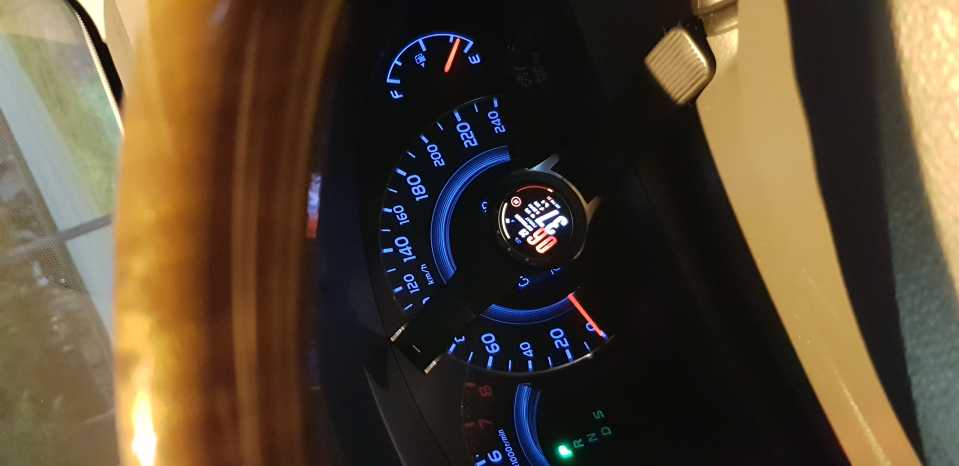 20230929_063725.jpg