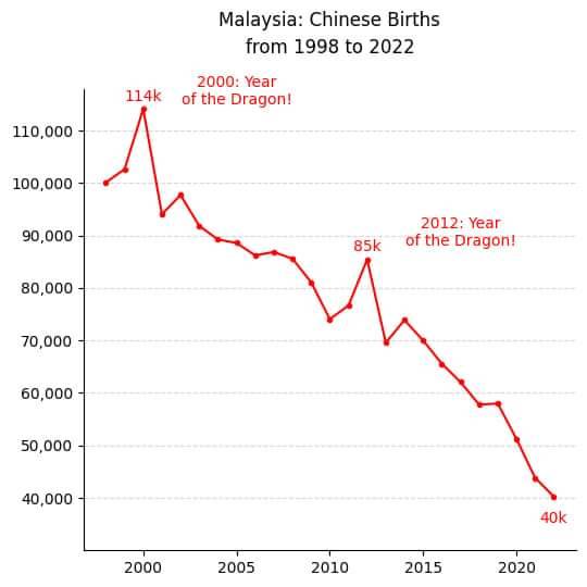 Malaysian Chinese New Born.jpeg