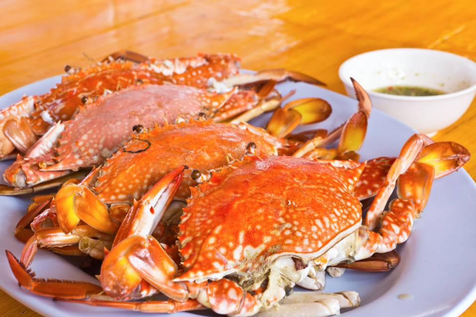 crab-1014.jpg