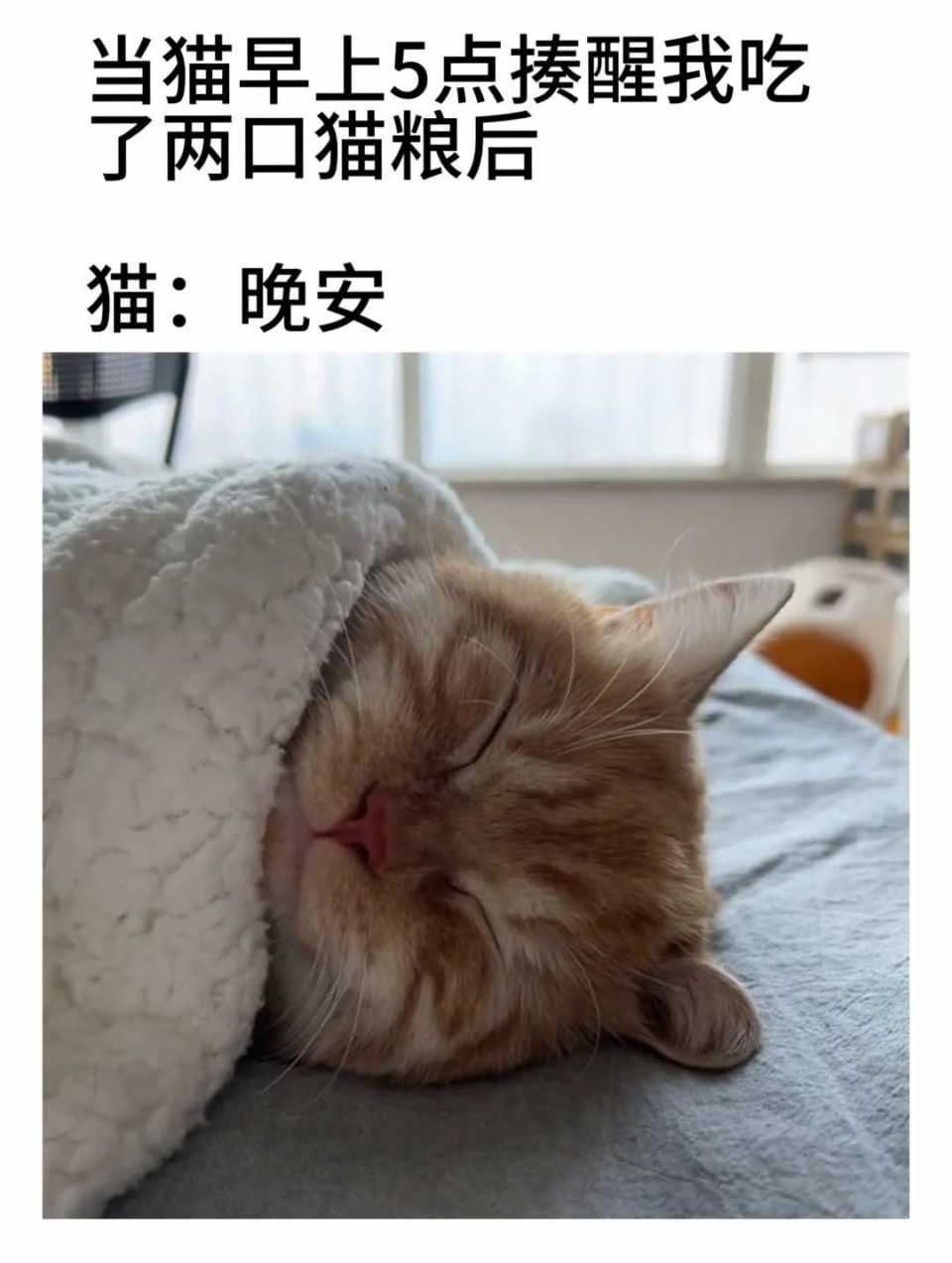FB_IMG_1745074547472.jpg