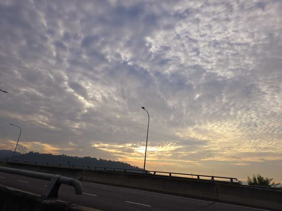 20250425_075333.jpg