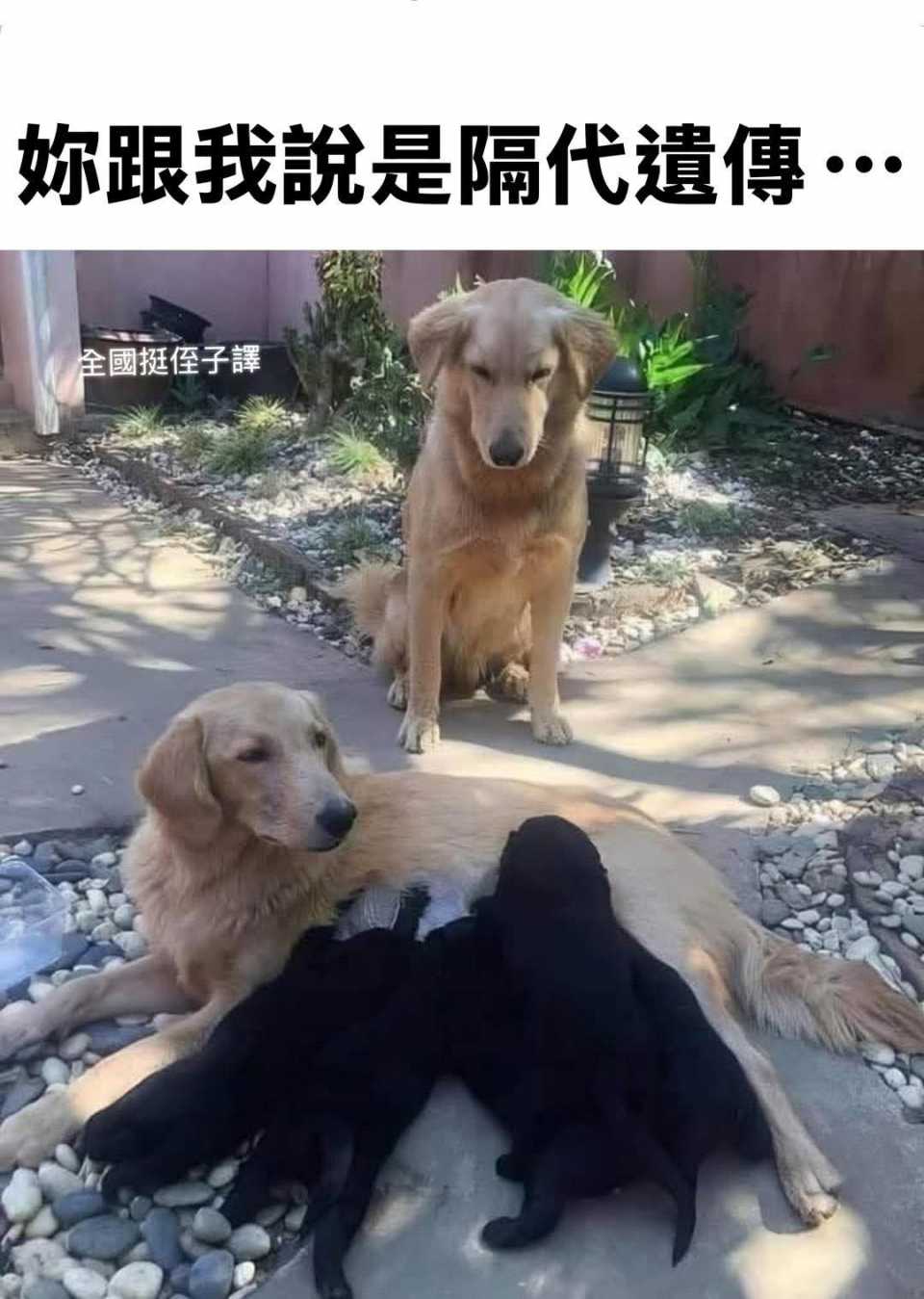 FB_IMG_1744171084288.jpg
