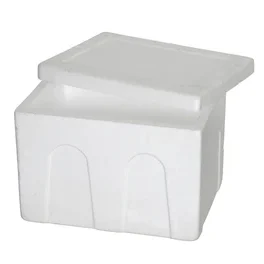 open-styrofoam-box-on-white-260nw-196029638-e1703126275209.jpg