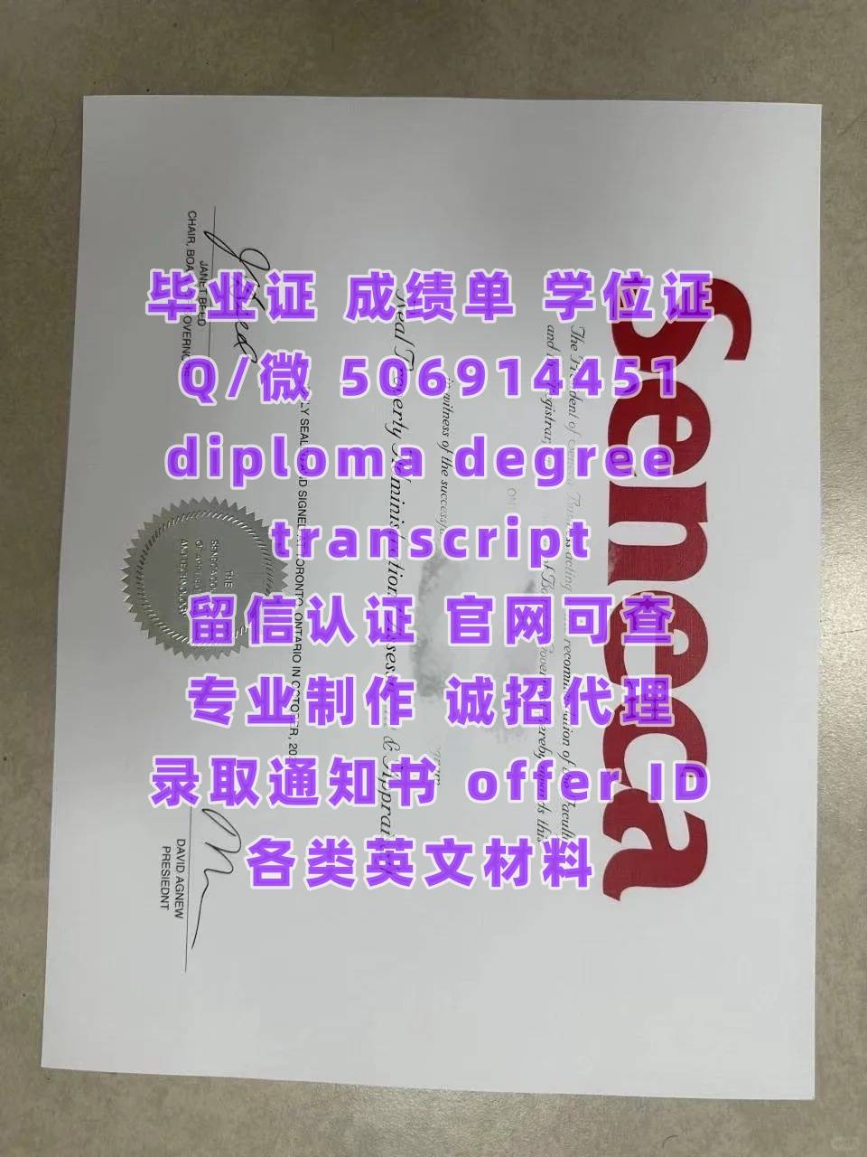 diploma (94).jpg