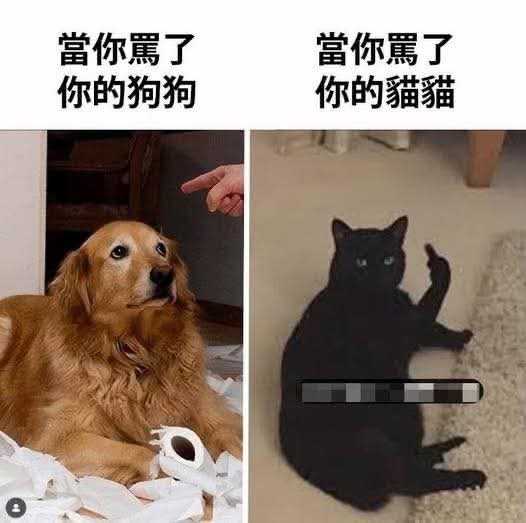 282816.jpg