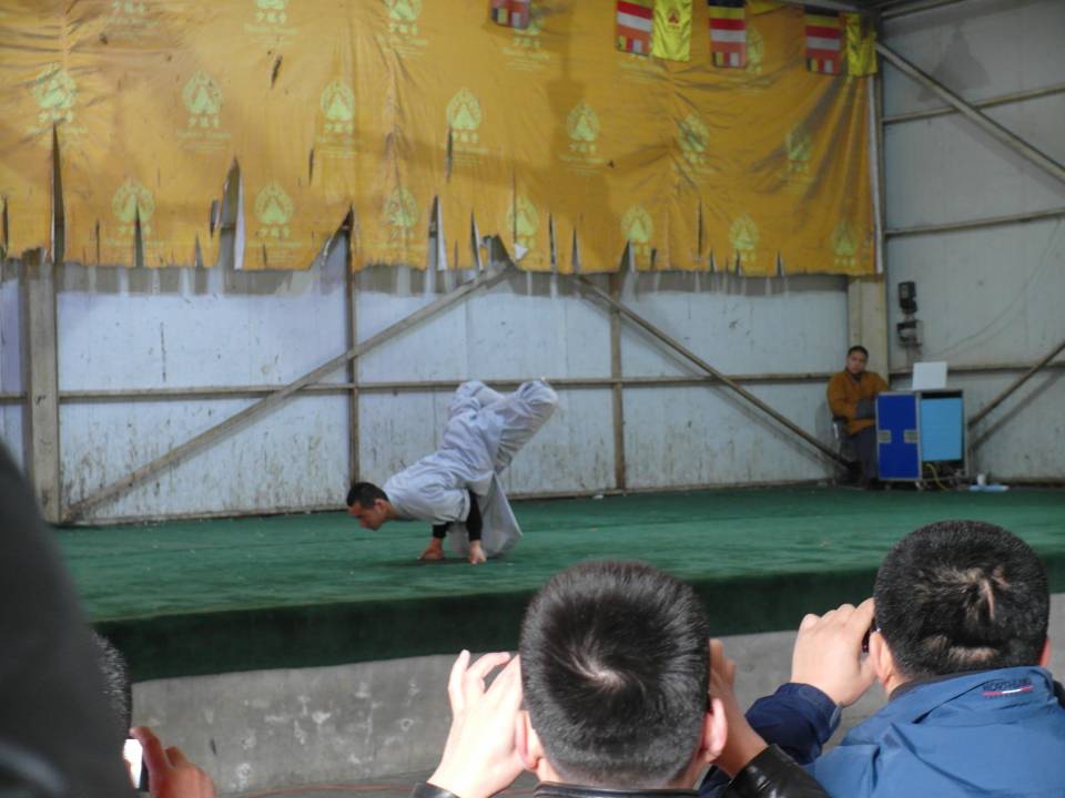 SAM_0123.jpg