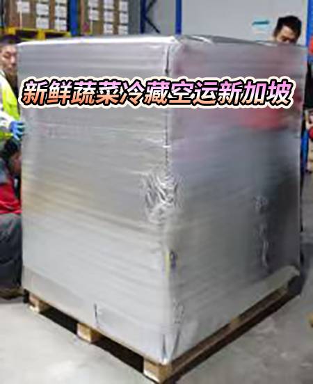 新鲜蔬菜冷藏空运新加坡