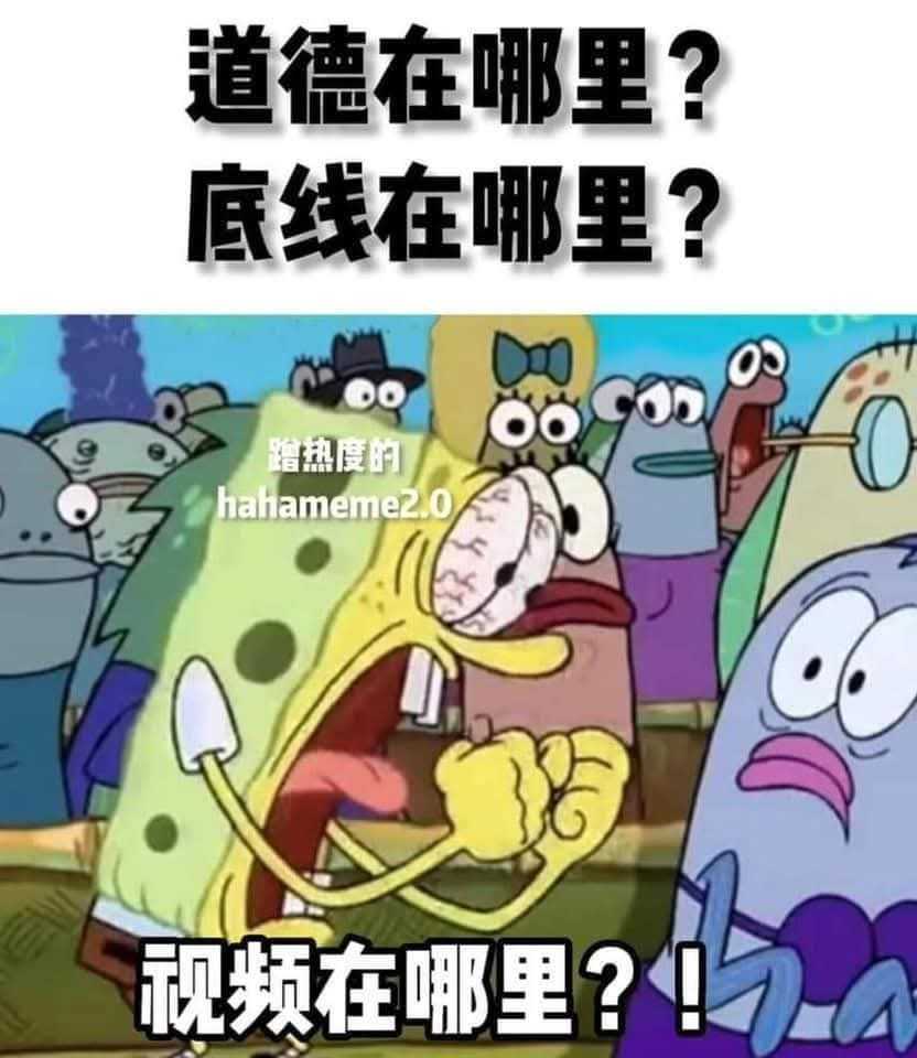 333267.jpg