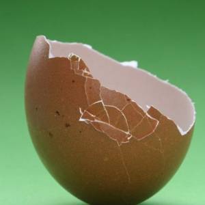 鸡蛋壳可以吃，是便宜又天然的钙质来源！