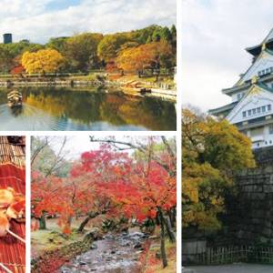 【悠游日本】如明信片般美的大阪、京都和奈良，就在秋天！