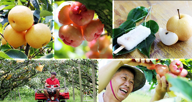 【夏 。味台湾】 Day 1：炎炎夏日挡不住热情，消暑解渴的是道地农产品！