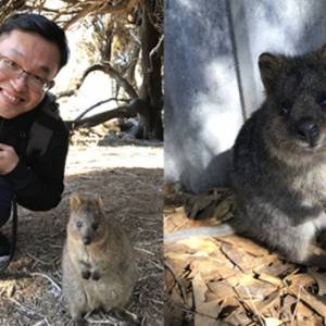 袋鼠？老鼠？傻傻分不清楚